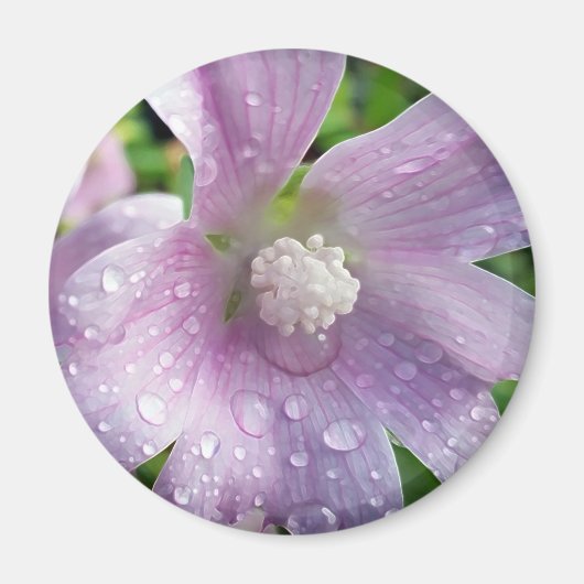 明るい紫 マグネット (正面)