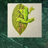 明るい緑のグライディングツリーフロッグヴィンテージホワイト タイル