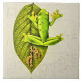 明るい緑のグライディングツリーフロッグヴィンテージホワイト タイル (正面)