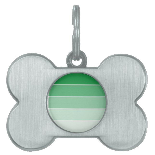 明るい緑のサ絵を描ンプル ペットネームタグ (正面)