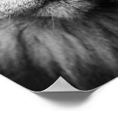 明るい緑の目を持つ灰色の猫 ポスター (角)