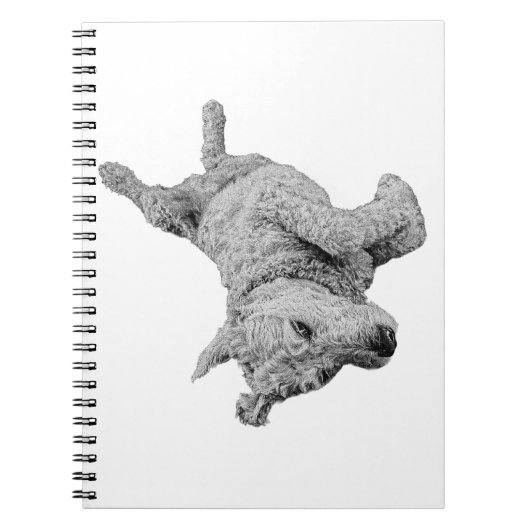 明るい線 ノートブック (正面)