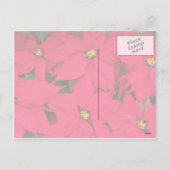 明るい色のクリスマスポインセチアの束 シーズンポストカード (裏面)