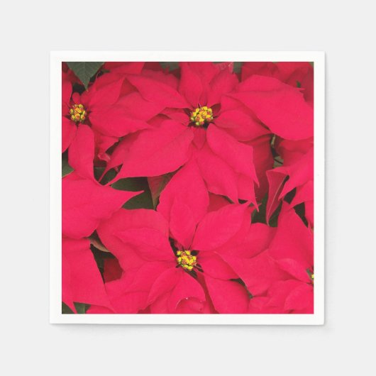 明るい色のクリスマスポインセチアの束 スタンダードカクテルナプキン (正面)