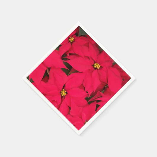 明るい色のクリスマスポインセチアの束 スタンダードカクテルナプキン (角)