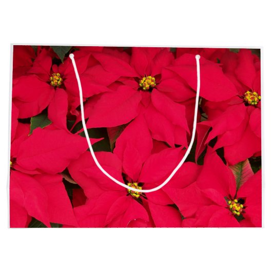 明るい色のクリスマスポインセチアの束 ラージペーパーバッグ (裏面)