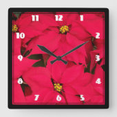 明るい色のクリスマスポインセティアの束 スクエア壁時計 (正面)