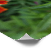 明るい色のマリオット ポスター (角)