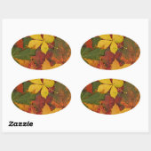 明るい色の紅葉 楕円形シール (シート)