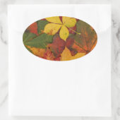 明るい色の紅葉 楕円形シール (バッグ)
