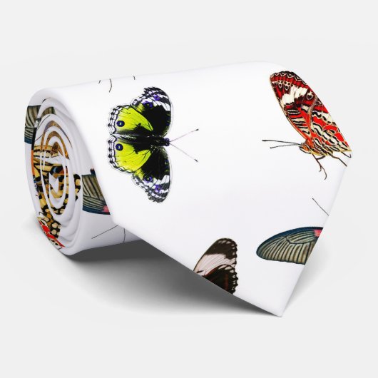 明るい色の蝶 ネクタイ (ロール)
