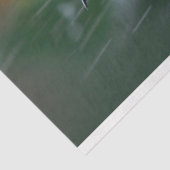 明るい花の切り離しに浮かぶハミングバード 薄葉紙 (詳細)