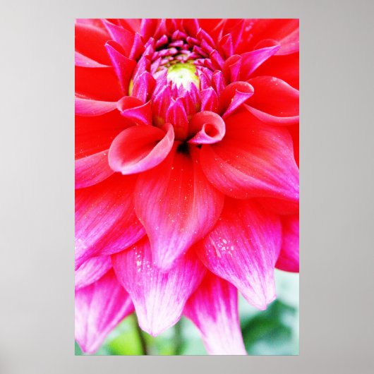 明るい花 ポスター (正面)