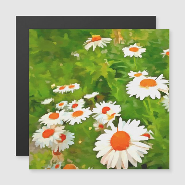 明るい芸術的と白カラフルいガーデンデイジー (正面/裏面)