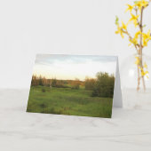 明るい草原 カード (黄色い花)