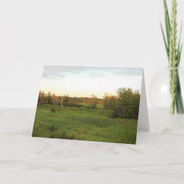 明るい草原 カード