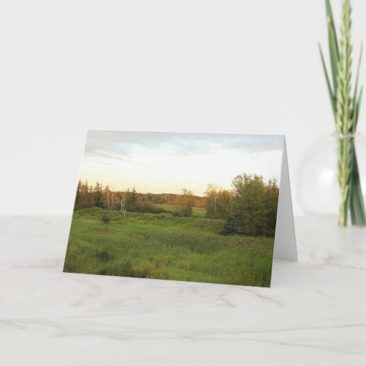 明るい草原 カード (正面)