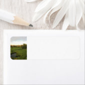 明るい草原 ラベル (インサイチュ)