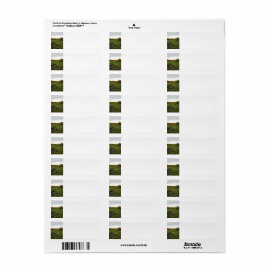 明るい草原 ラベル (フルシート)