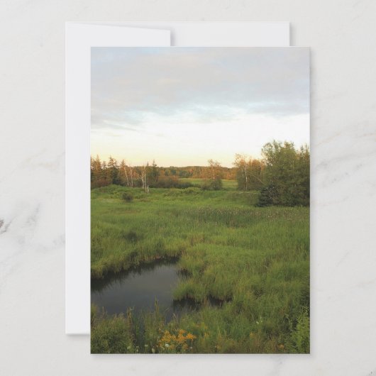 明るい草原 招待状 (正面)