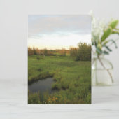 明るい草原 招待状 (スタンド正面)