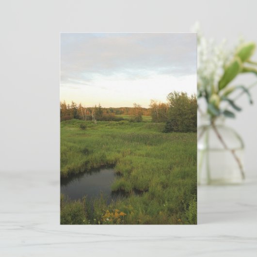 明るい草原 招待状 (スタンド正面)