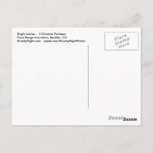 明るい葉-CO ポストカード (裏面)