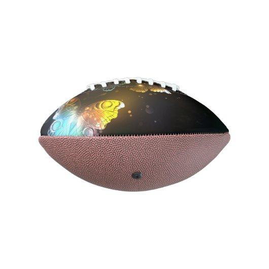 明るい蝶と夜の蝶 アメリカンフットボール (回転270)
