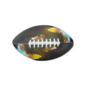 明るい蝶と夜の蝶 アメリカンフットボール (正面)