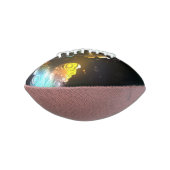 明るい蝶と夜の蝶 アメリカンフットボール (回転90)