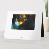 明るい蝶と夜の蝶 カード (裏面)