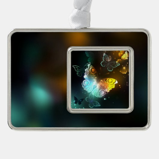 明るい蝶と夜の蝶 シルバープレートフレームオーナメント (正面)