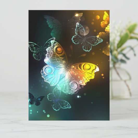 明るい蝶と夜の蝶 シーズンカード (スタンド正面)