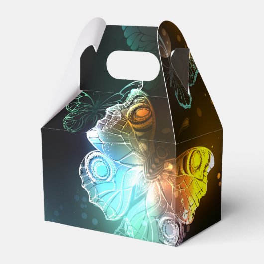 明るい蝶と夜の蝶 フェイバーボックス (裏面サイド)