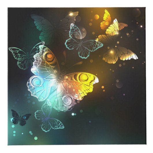 明るい蝶と夜の蝶 フォトキューブ (右)