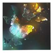 明るい蝶と夜の蝶 フォトキューブ (正面)