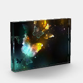 明るい蝶と夜の蝶 フォトブロック (左)