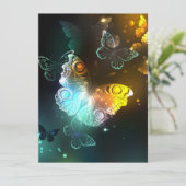 明るい蝶と夜の蝶 プログラム (スタンド正面)