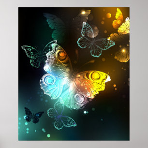 明るい蝶と夜の蝶 ポスター