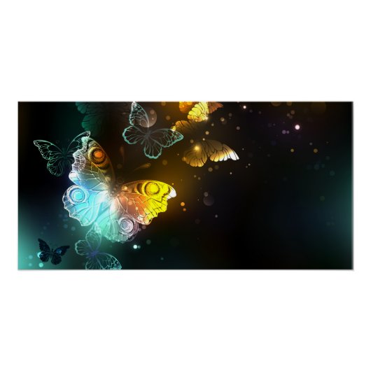 明るい蝶と夜の蝶 ポスター (正面)