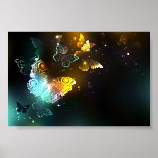 明るい蝶と夜の蝶 ポスター (正面)