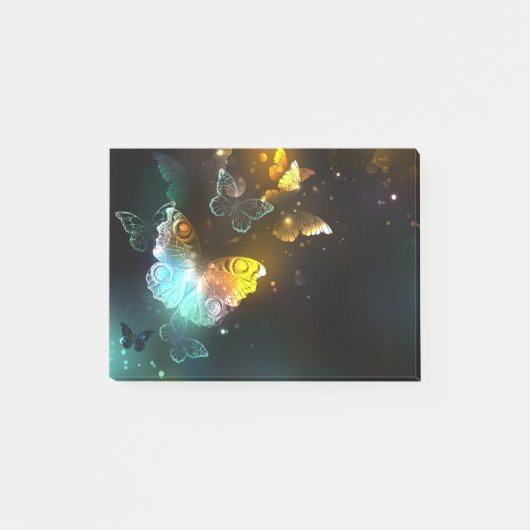 明るい蝶と夜の蝶 ポストイット (正面)