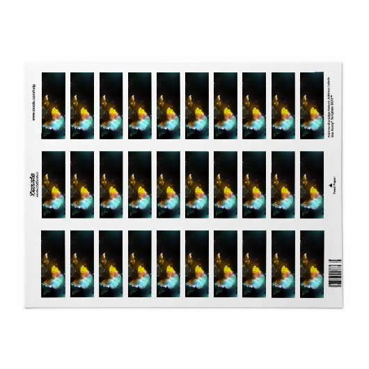 明るい蝶と夜の蝶 ラベル (フルシート)