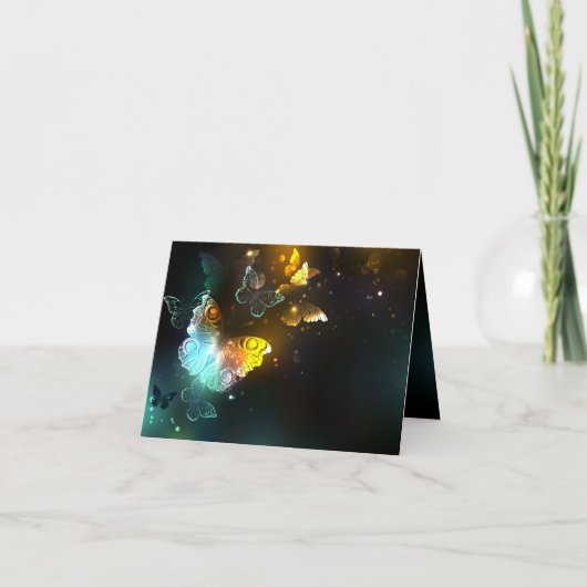 明るい蝶と夜の蝶 案内状 (正面)