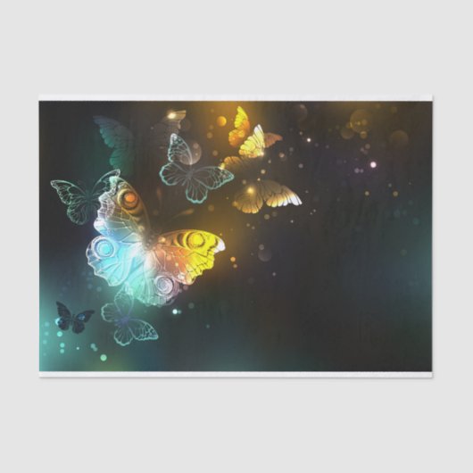 明るい蝶と夜の蝶 薄葉紙 (正面)