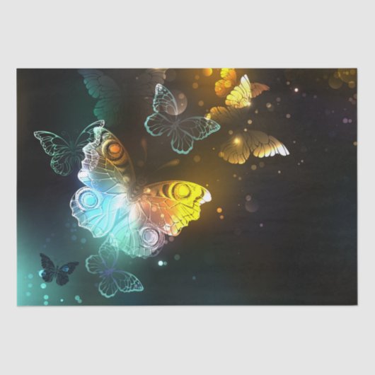 明るい蝶と夜の蝶 薄葉紙 (正面)