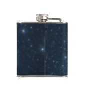 明るい蟹座 フラスク (裏面)