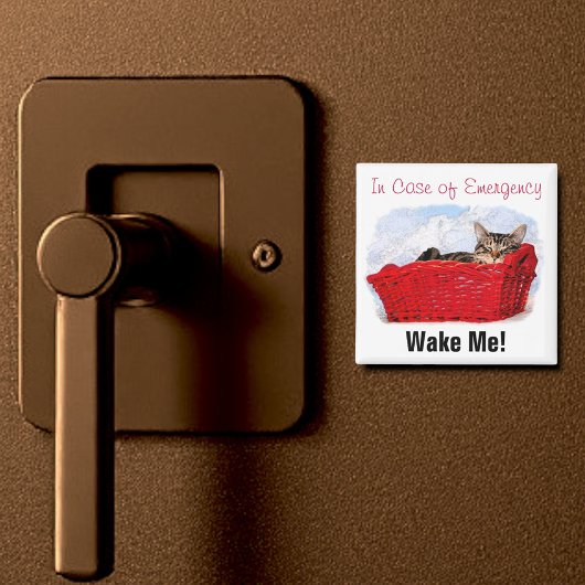 明るい赤のバスケットに入った可愛い眠るカスタム子猫 マグネット