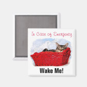 明るい赤のバスケットに入った可愛い眠るカスタム子猫 マグネット (正面/裏面)