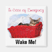 明るい赤のバスケットに入った可愛い眠るカスタム子猫 マグネット (正面)